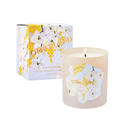 Otherland Boxed Jar Candle - Vegan & Cruelty Free Cotton Wick Luxury Candles for Home - Long Lasting Coconut & Soy Wax Blend - Decorative Glass Jar for Scented Home Decor Gifts (Spice It Up 8 oz)