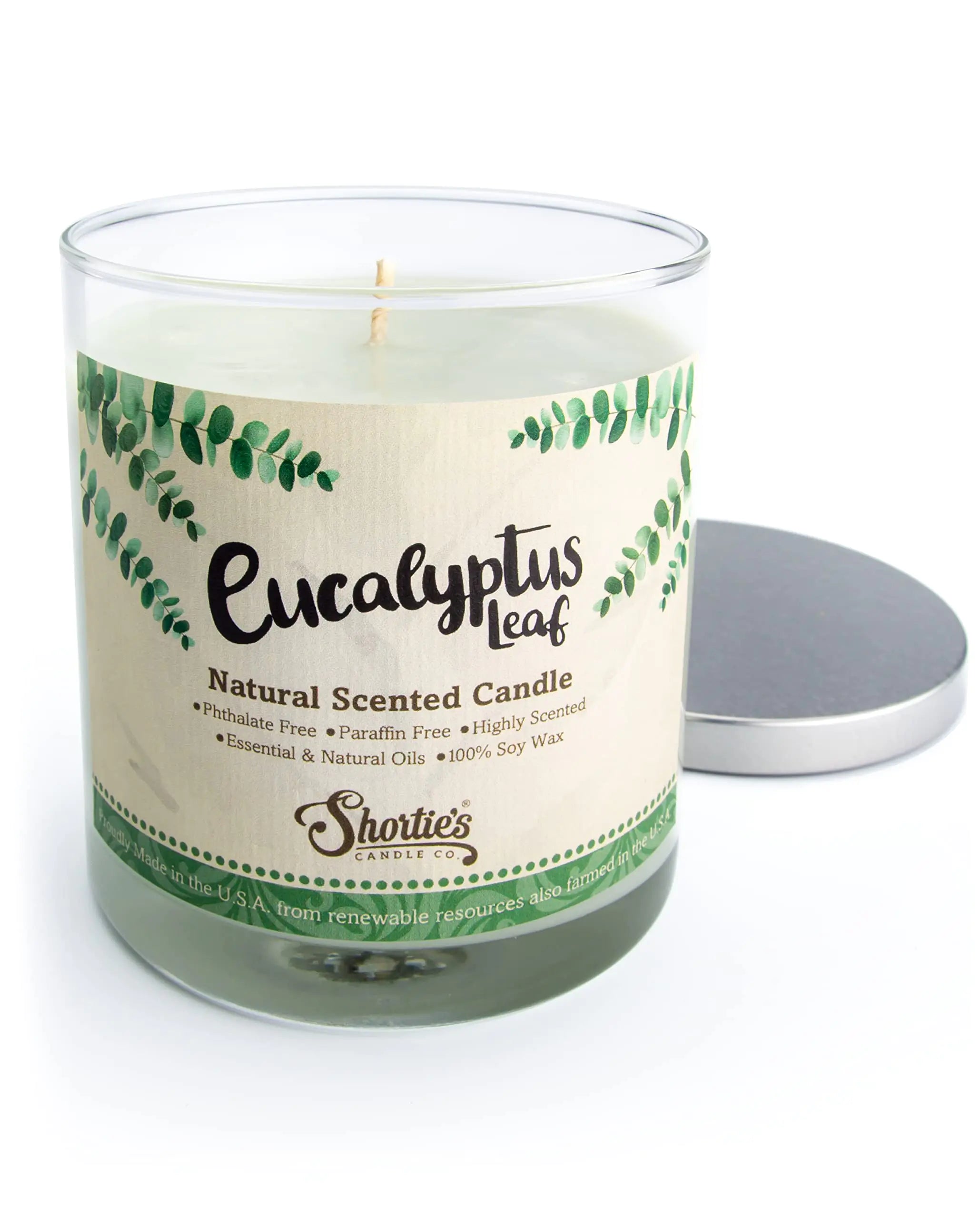 Eucalyptus Leaf Scented Natural Soy Candle Essential Fragrance Oils 100% Soy Phthalate & Paraben Free Clean Burning 9 Oz.